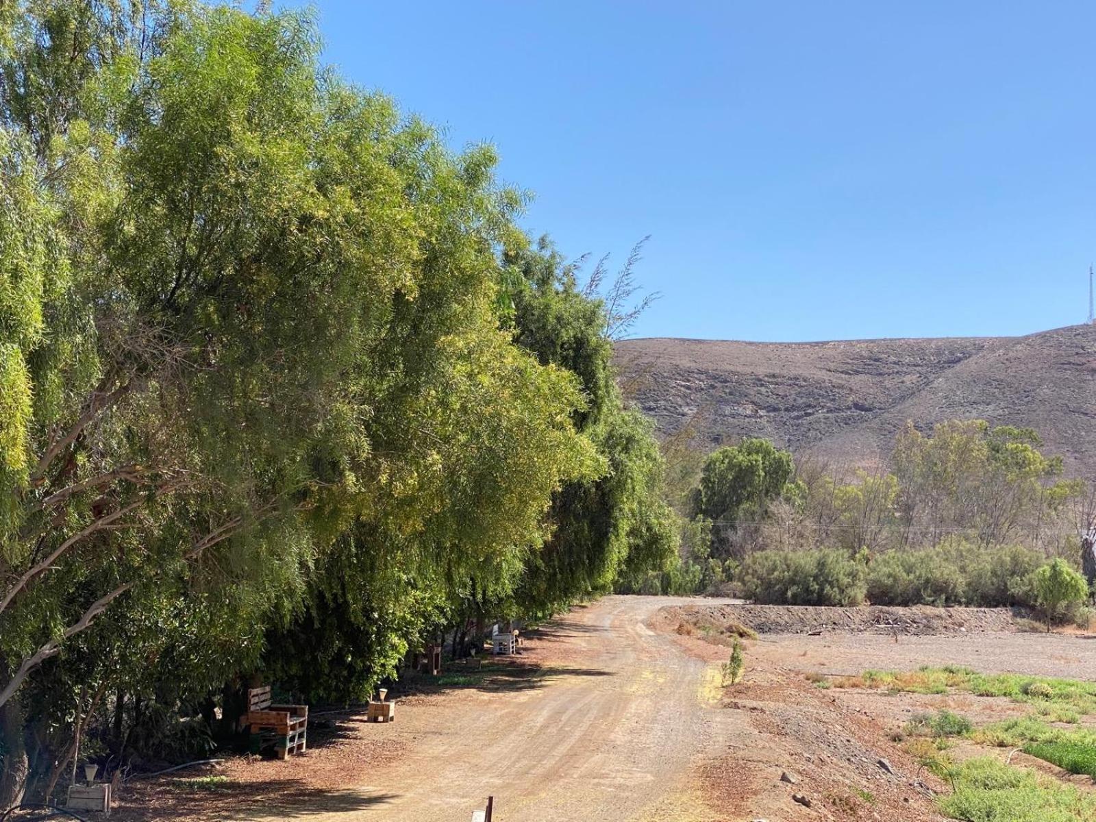 Vila Casa Yamile Tarajalejo Pokoj fotografie